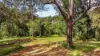349 Ringtail Creek Road, Ringtail Creek, Qld 4565-Image