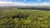349 Ringtail Creek Road, Ringtail Creek, Qld 4565-Image