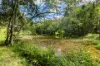 349 Ringtail Creek Road, Ringtail Creek, Qld 4565-Image