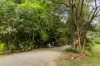 349 Ringtail Creek Road, Ringtail Creek, Qld 4565-Image