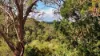 349 Ringtail Creek Road, Ringtail Creek, Qld 4565-Image