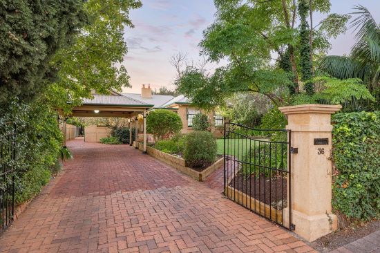 36 Anglesey Avenue, St Georges, SA 5064