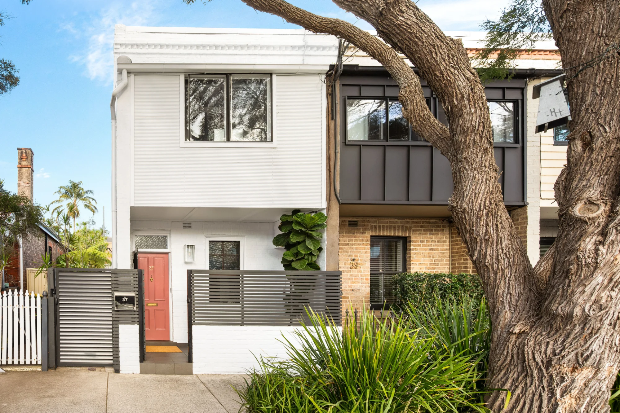 37 Cook Road, Marrickville, NSW 2204