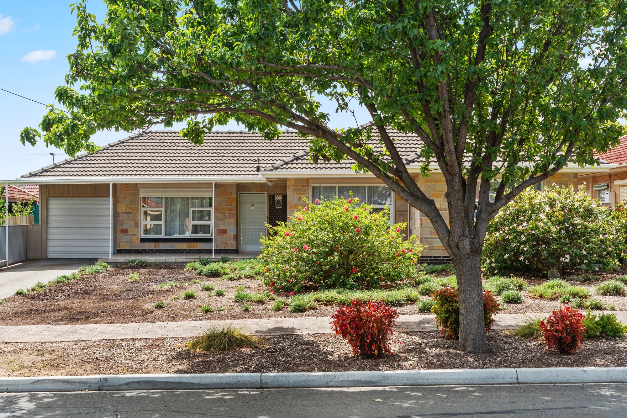 37 Lomman Avenue, Newton SA 5074