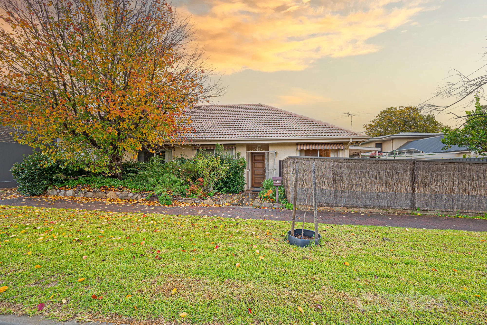 38 Austral Avenue, Linden Park, SA 5065