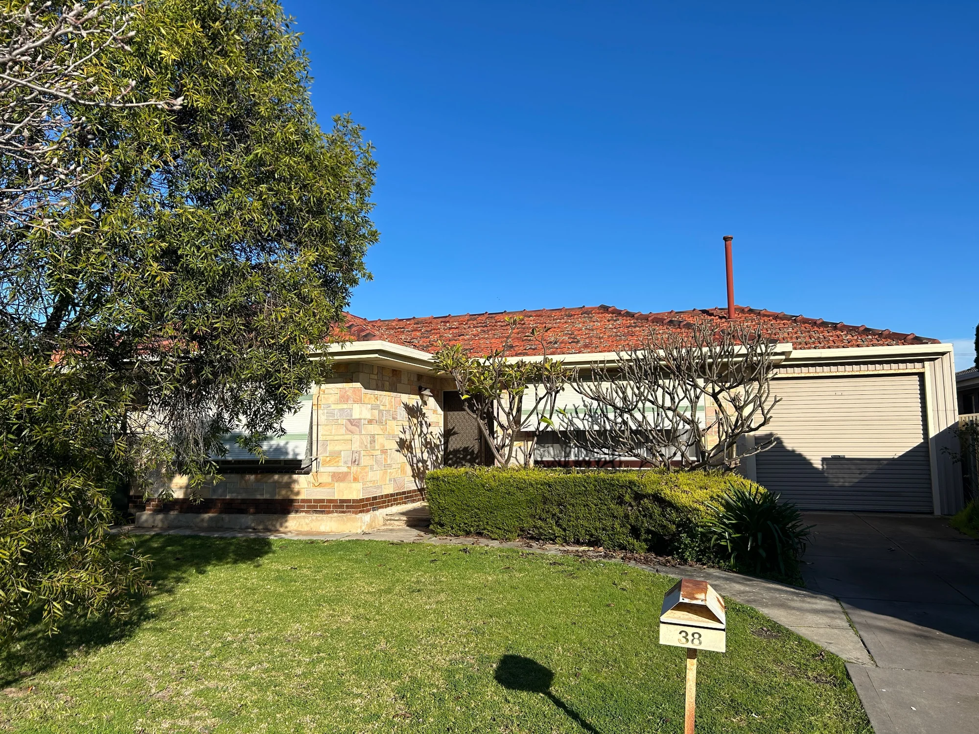 38 Myer Avenue, Plympton SA 5038