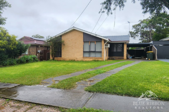 38 Orleans Crescent, Toongabbie, NSW 2146