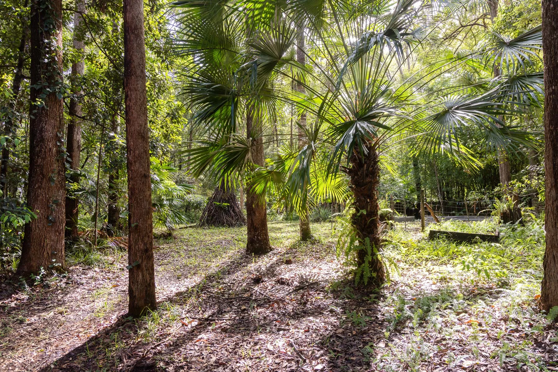 39 Smiths Road, Tinbeerwah, Qld 4563
