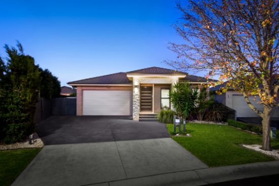 4 Partridge Street, Spring Farm, NSW 2570