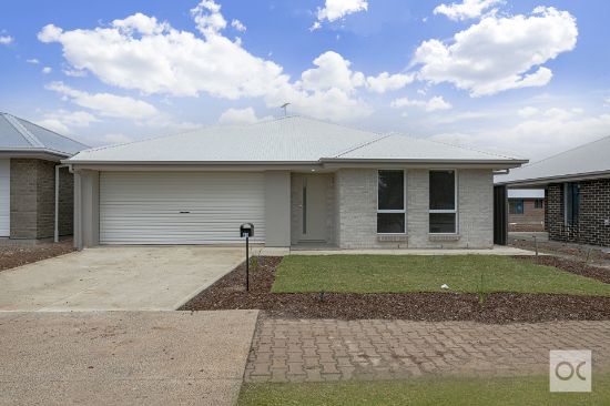 41 Edgecombe Road, Davoren Park, SA 5113