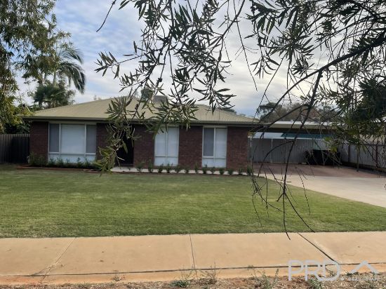 41 Nardoo Street, Red Cliffs, Vic 3496