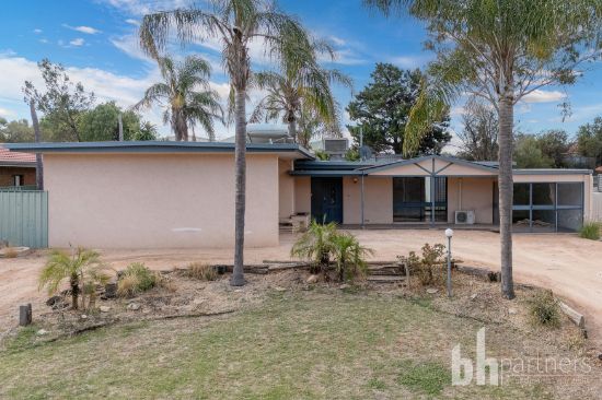 42 Old Sturt Highway, Berri, SA 5343