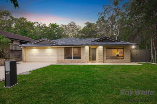 43 Wilkins Place, Drewvale, Qld 4116
