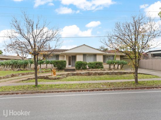 43B Brookvale Road, Windsor Gardens, SA 5087