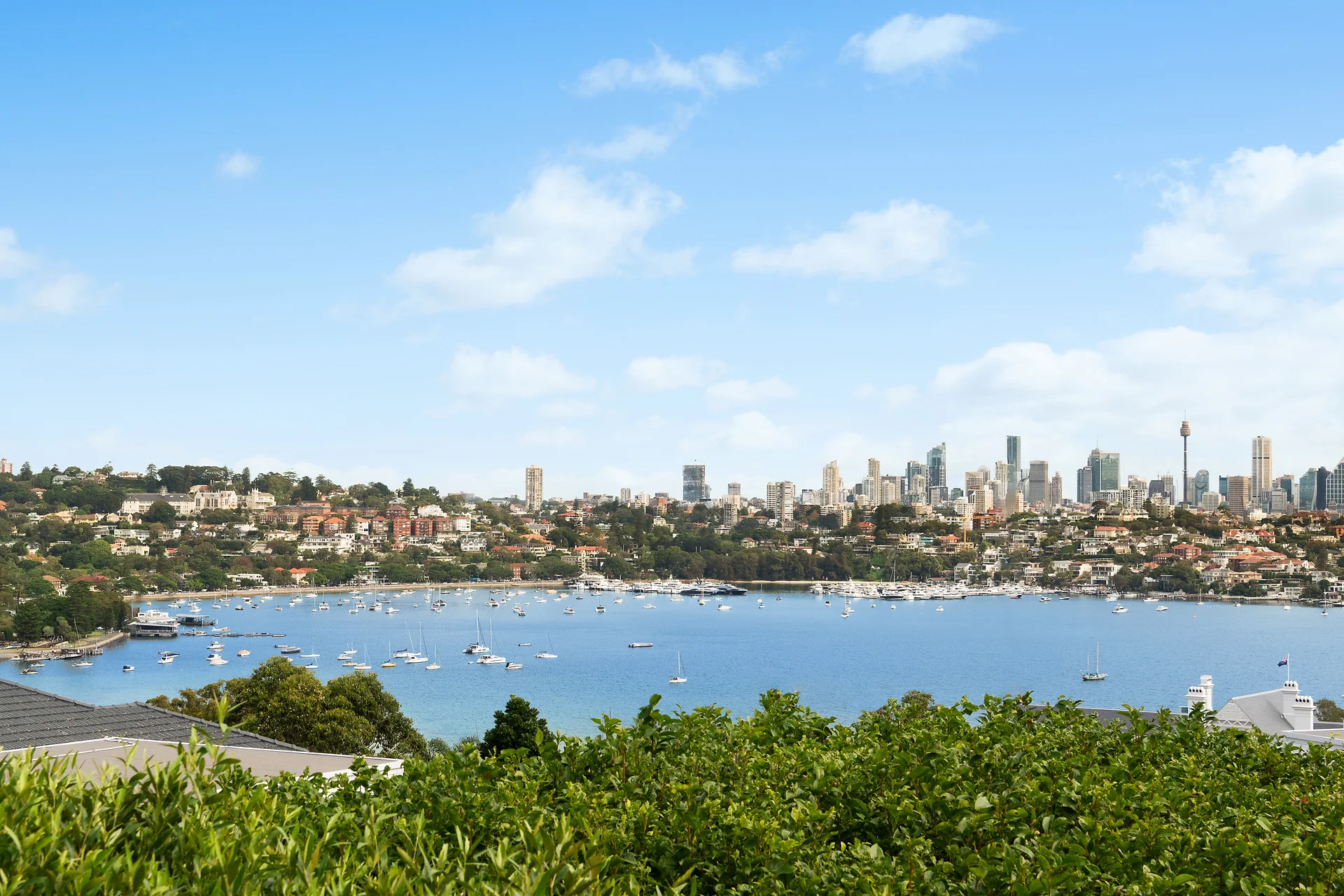44 Towns Road, Vaucluse, NSW 2030