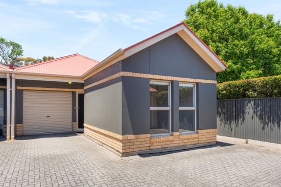 44B Sydney St, Glenside, SA 5065