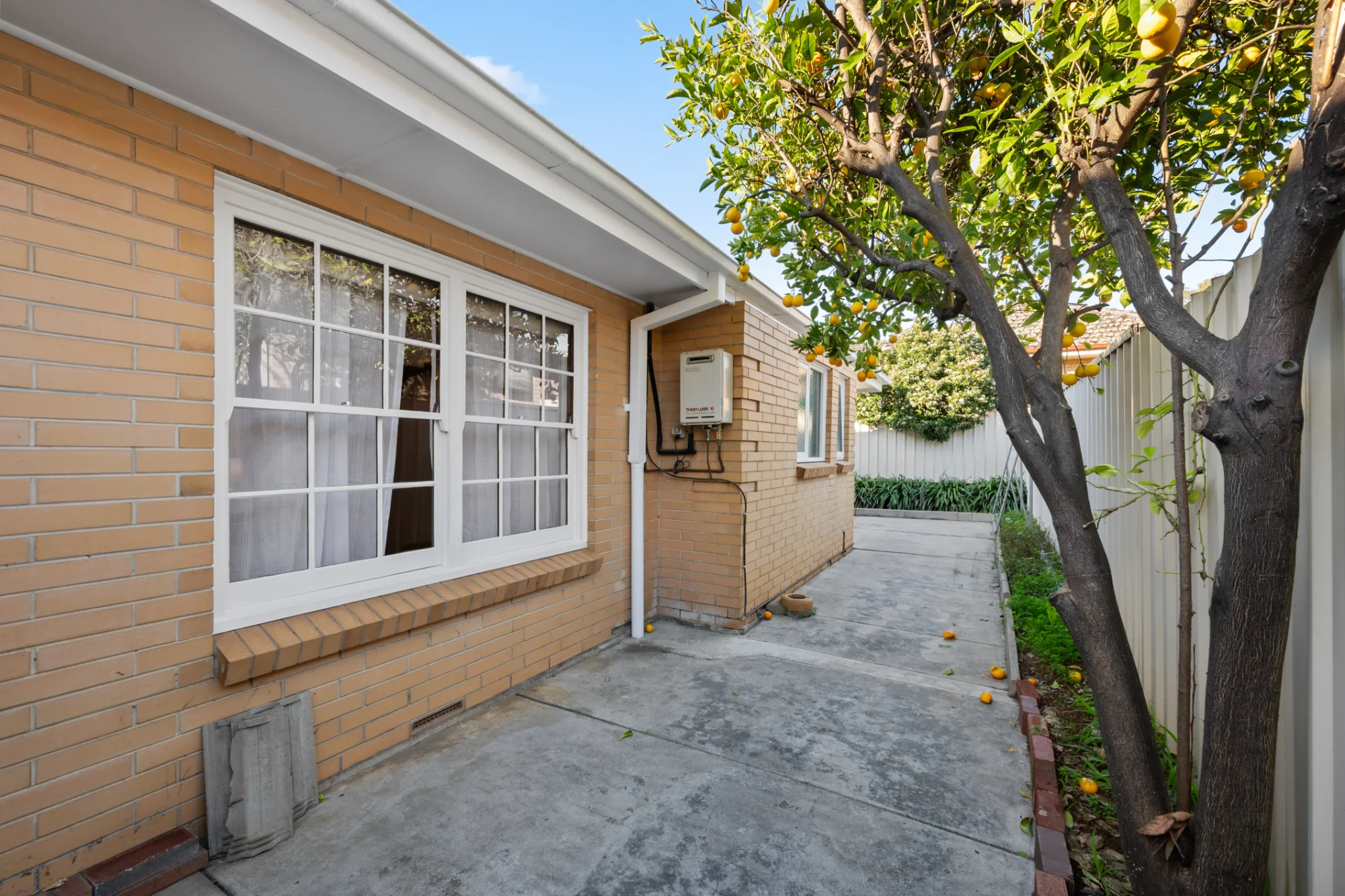 46 Torrens Street, Linden Park, SA 5065