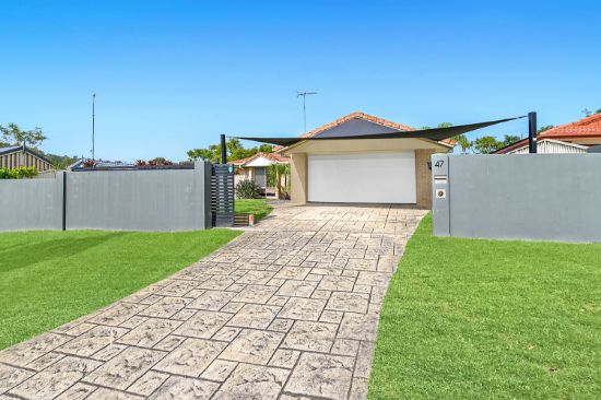 47 Daintree Drive, Parkwood, Qld 4214