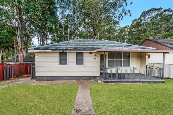 49 Cartwright Avenue, Busby, NSW 2168