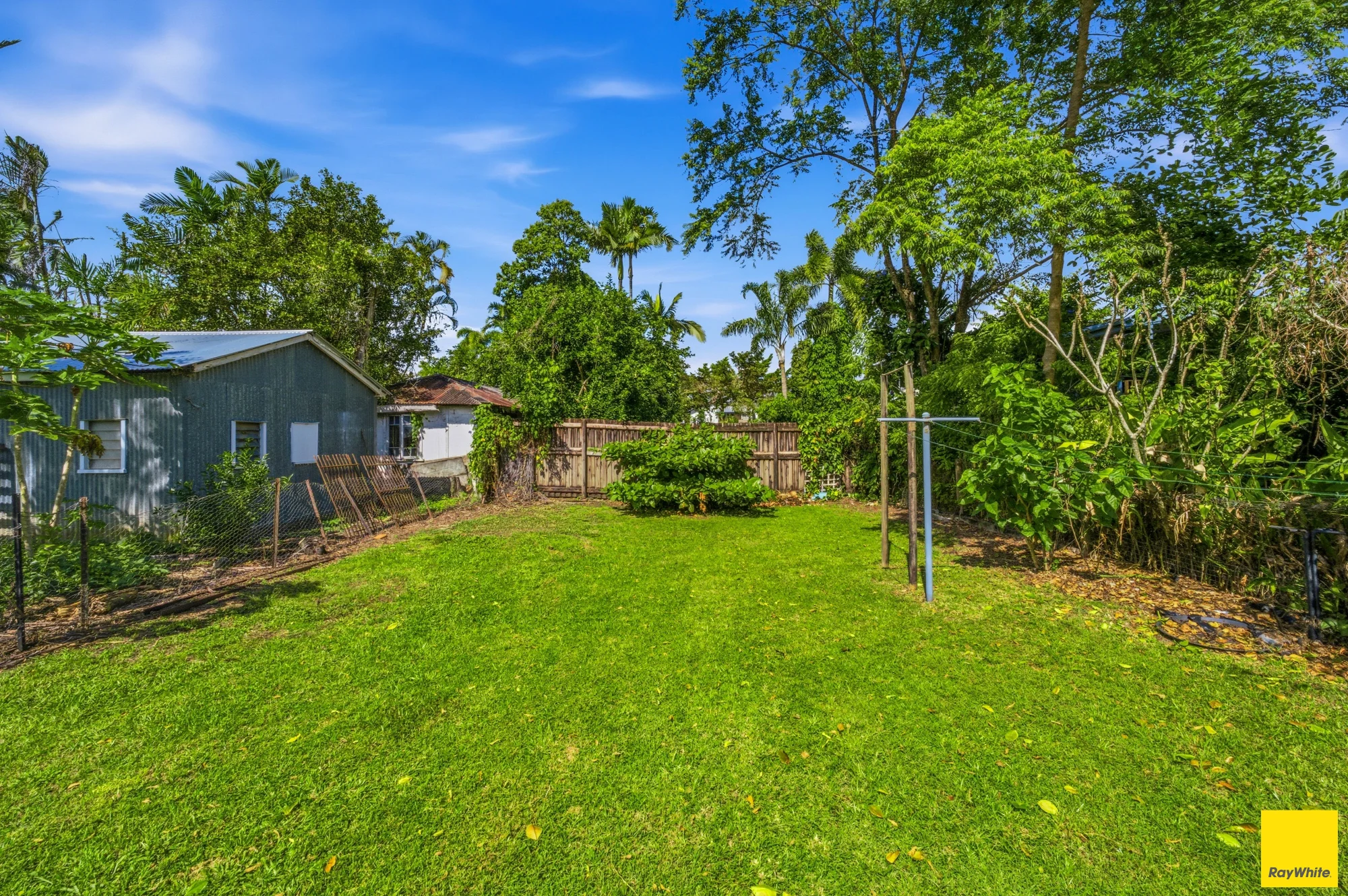 49 Charles Street, Parramatta Park, Qld 4870