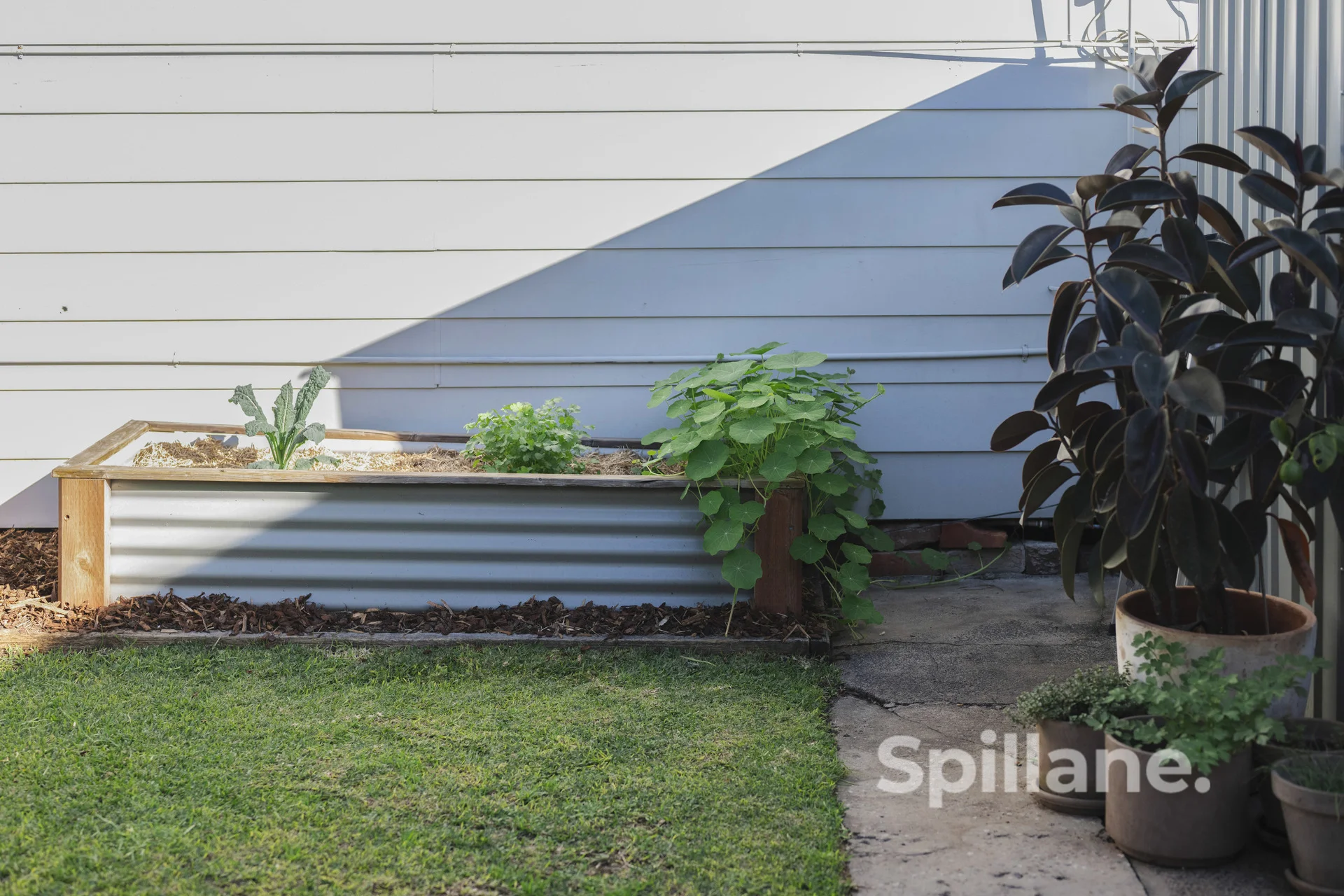 49 Lindsay Street, Hamilton, NSW 2303