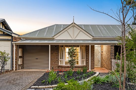 49 The Grove, Lower Mitcham, SA 5062