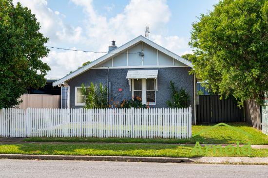 5 Adrian Street, Mayfield West, NSW 2304
