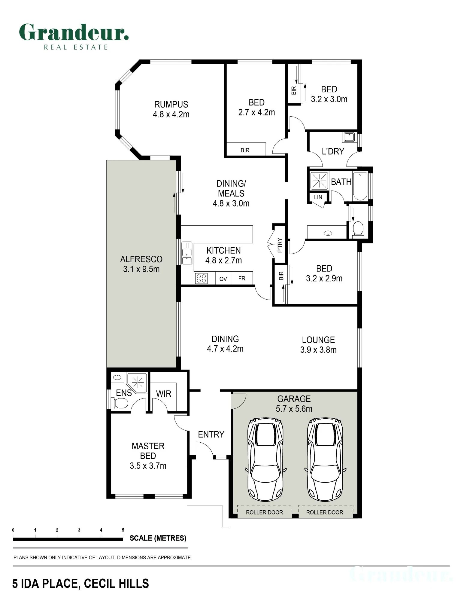 5 Ida Place, Cecil Hills, NSW 2171