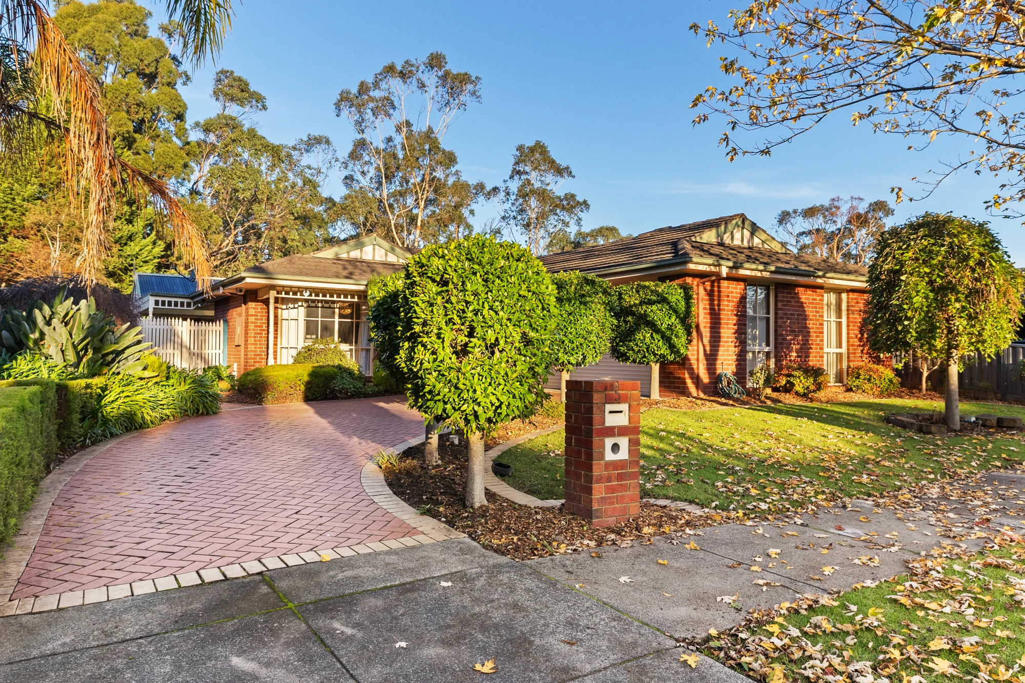 5 Jacobus Walk, Ferntree Gully, Vic 3156