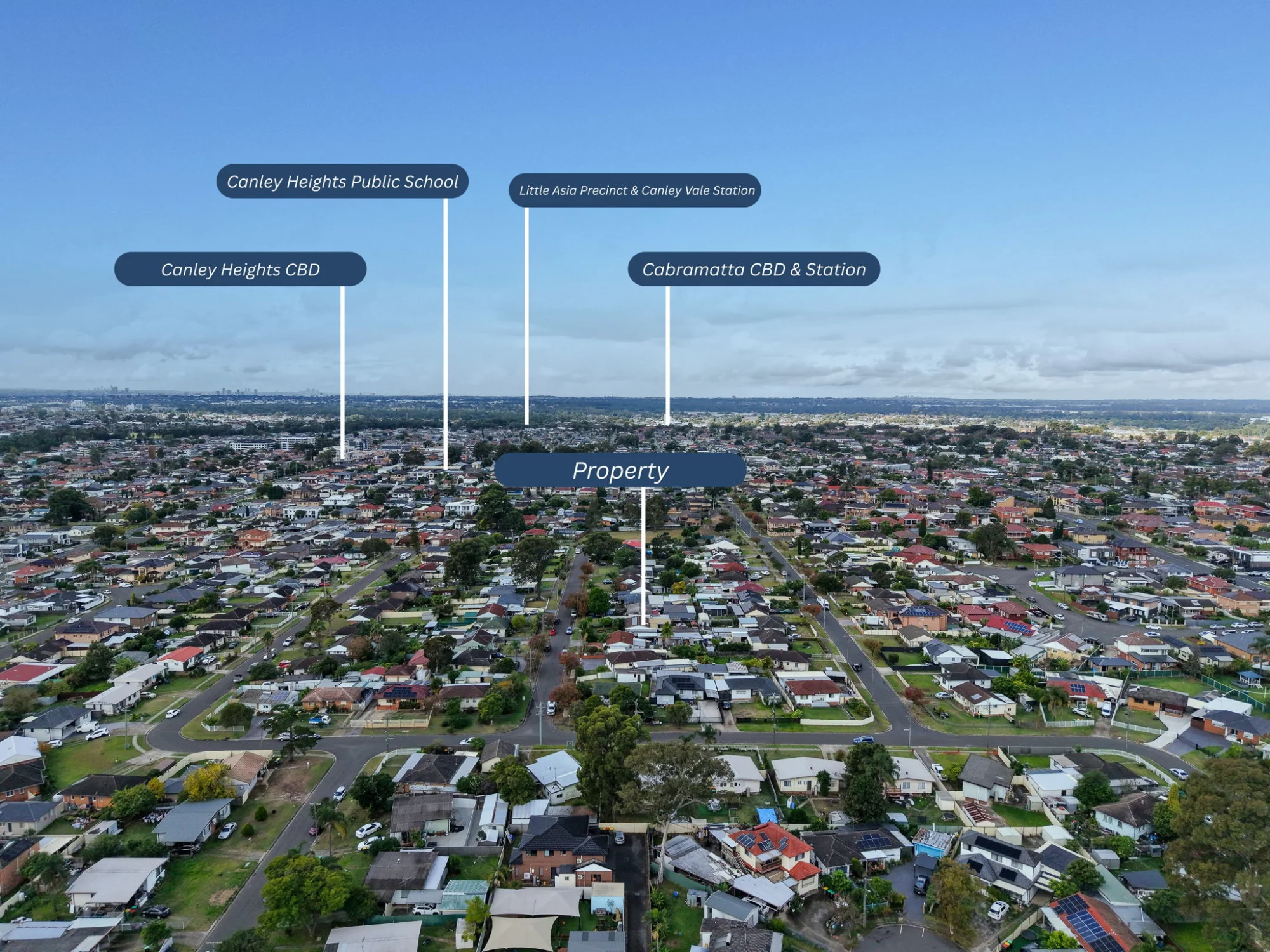 5 Stevenage Road, Canley Heights, NSW 2166