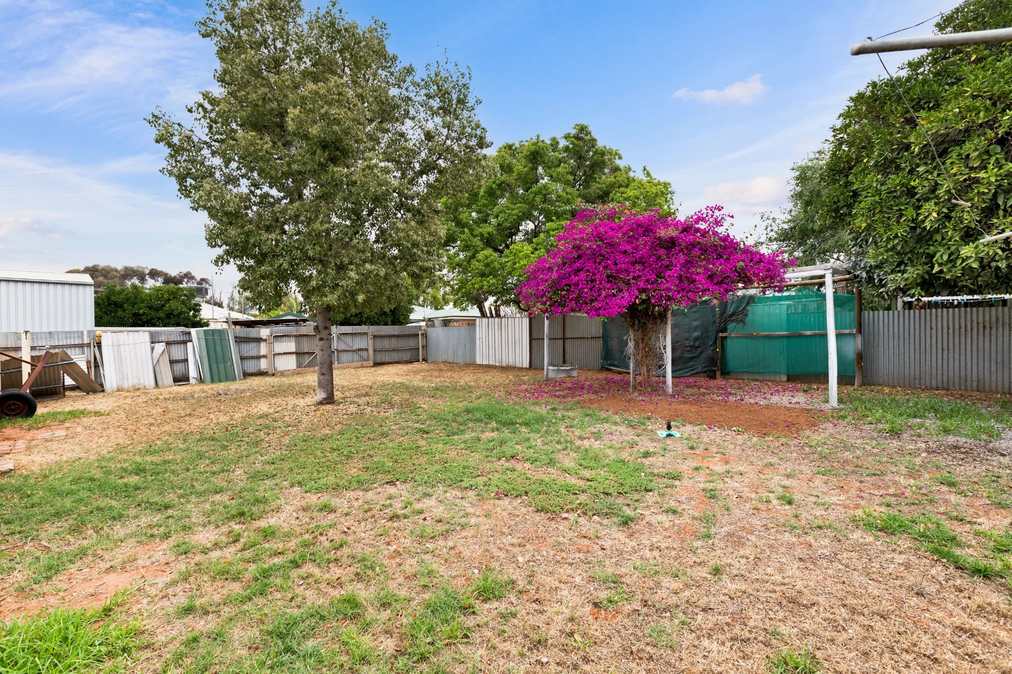 5 Whittaker Crescent, Red Cliffs VIC 3496