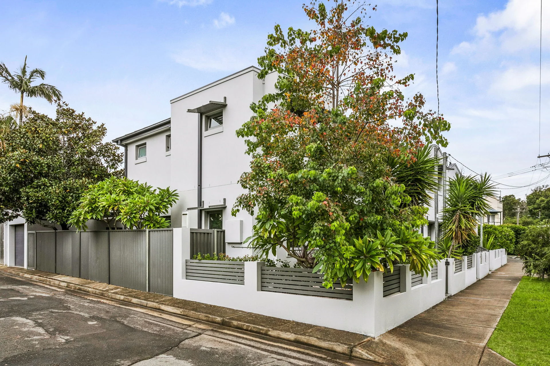 58 Darley Road, Leichhardt, NSW 2040
