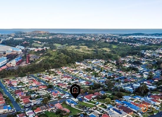 58 Lake Avenue, Cringila, NSW 2502