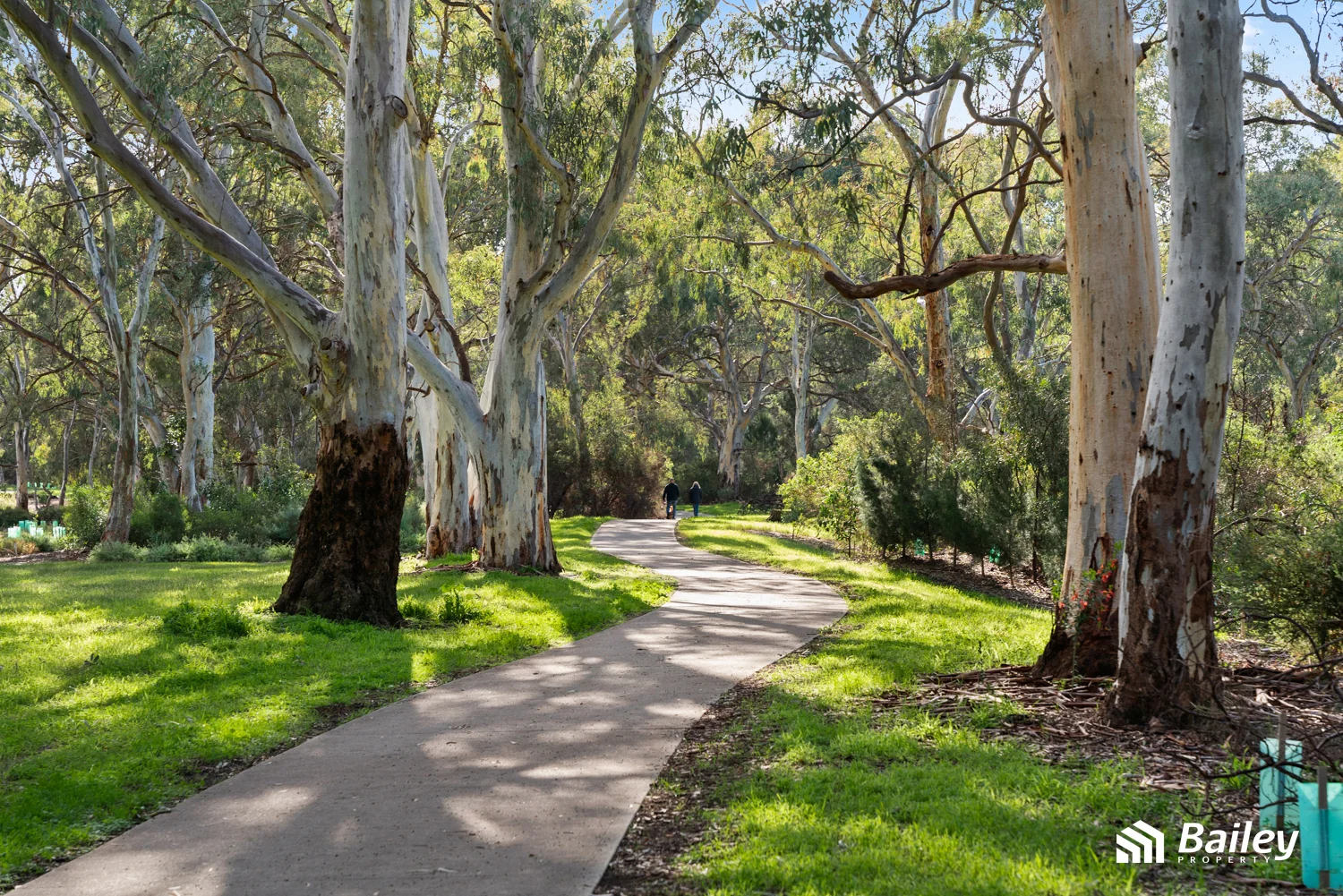 6 Kestrel Way, Modbury Heights, SA 5092
