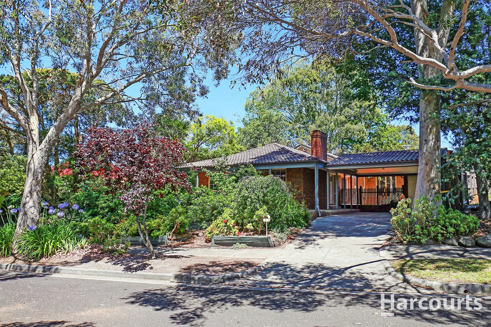 6 Muster Court, Vermont South, Vic 3133