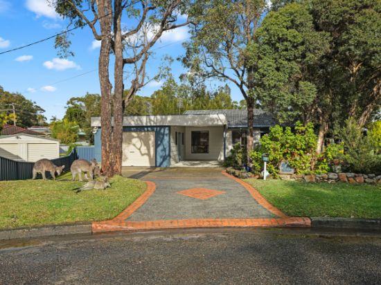 6 Robinsville Place, Sanctuary Point, NSW 2540