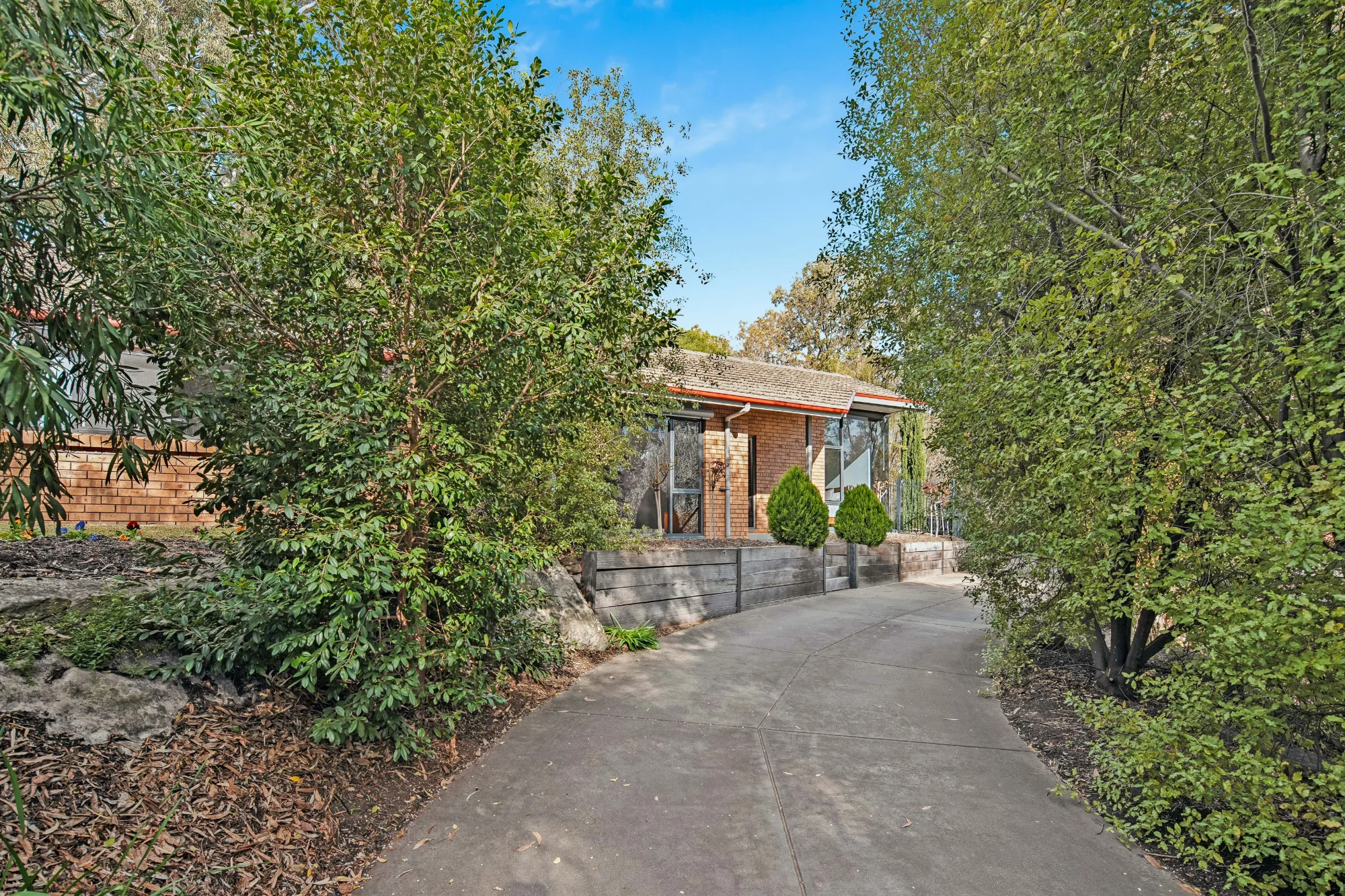 6 Whistler Grove, Flagstaff Hill, SA 5159