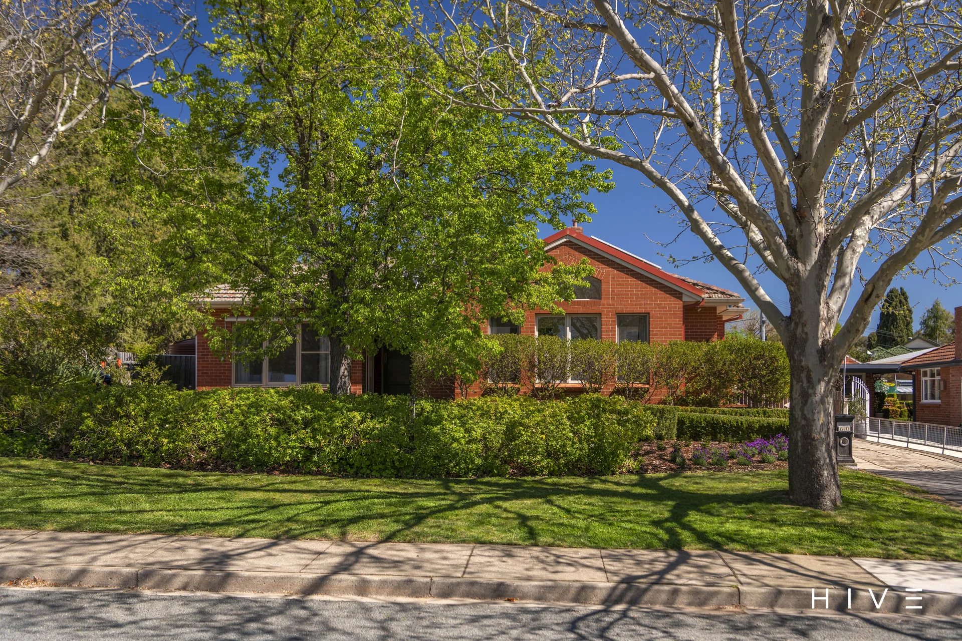60 Sturt Avenue, Narrabundah, ACT 2604