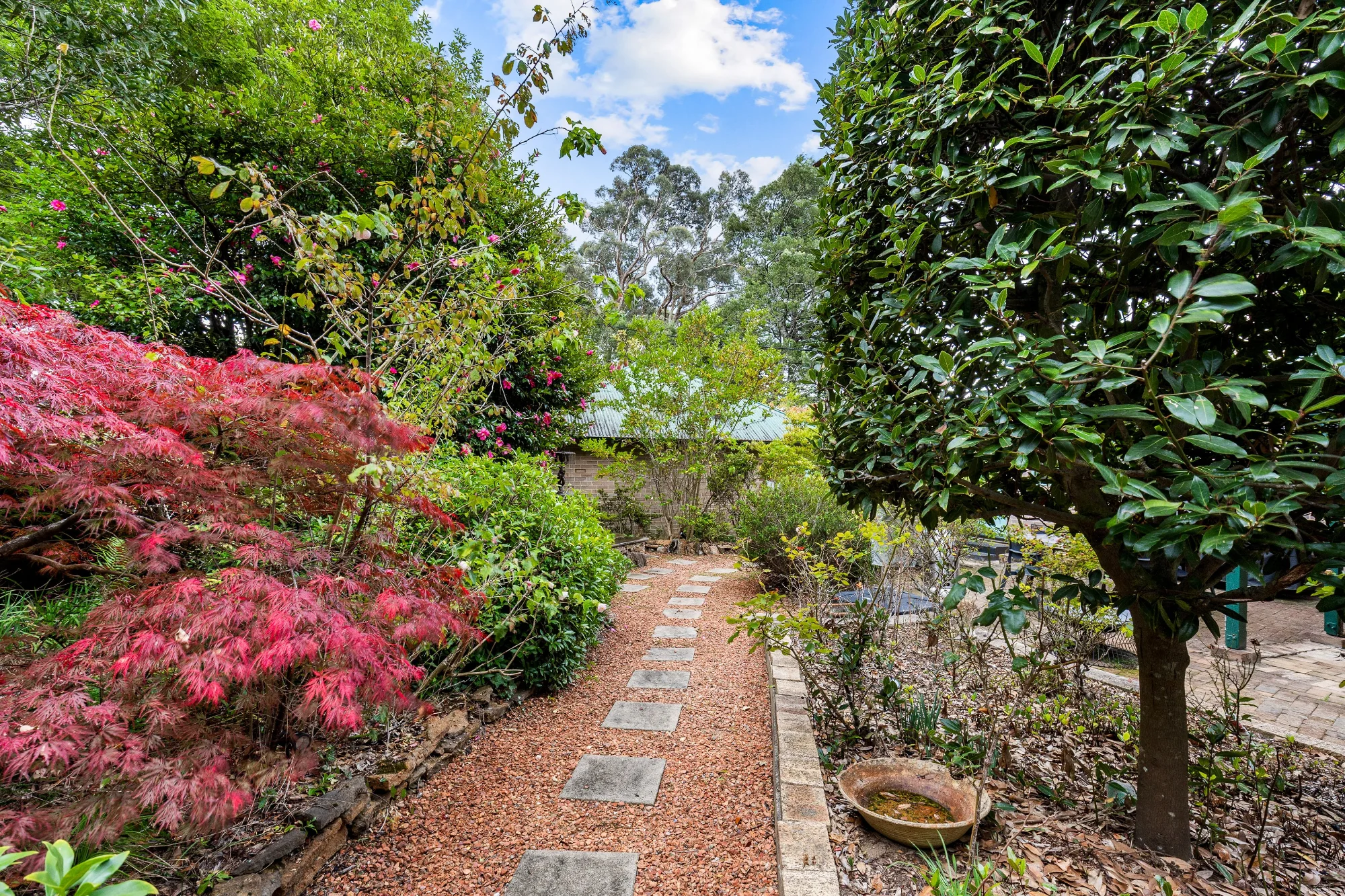 61-65 Leichhardt Street, Blackheath NSW 2785