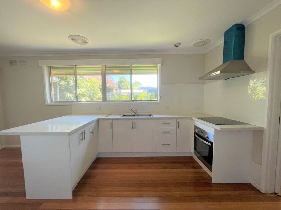 61 Anora Crescent, Mulgrave, Vic 3170