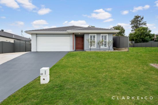 61 Tournament Street, Rutherford, NSW 2320