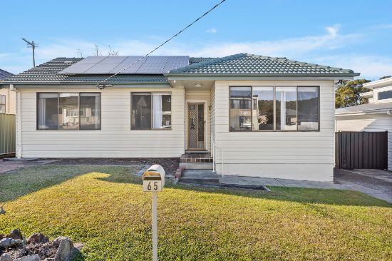 65 Sammat Avenue, Barrack Heights, NSW 2528