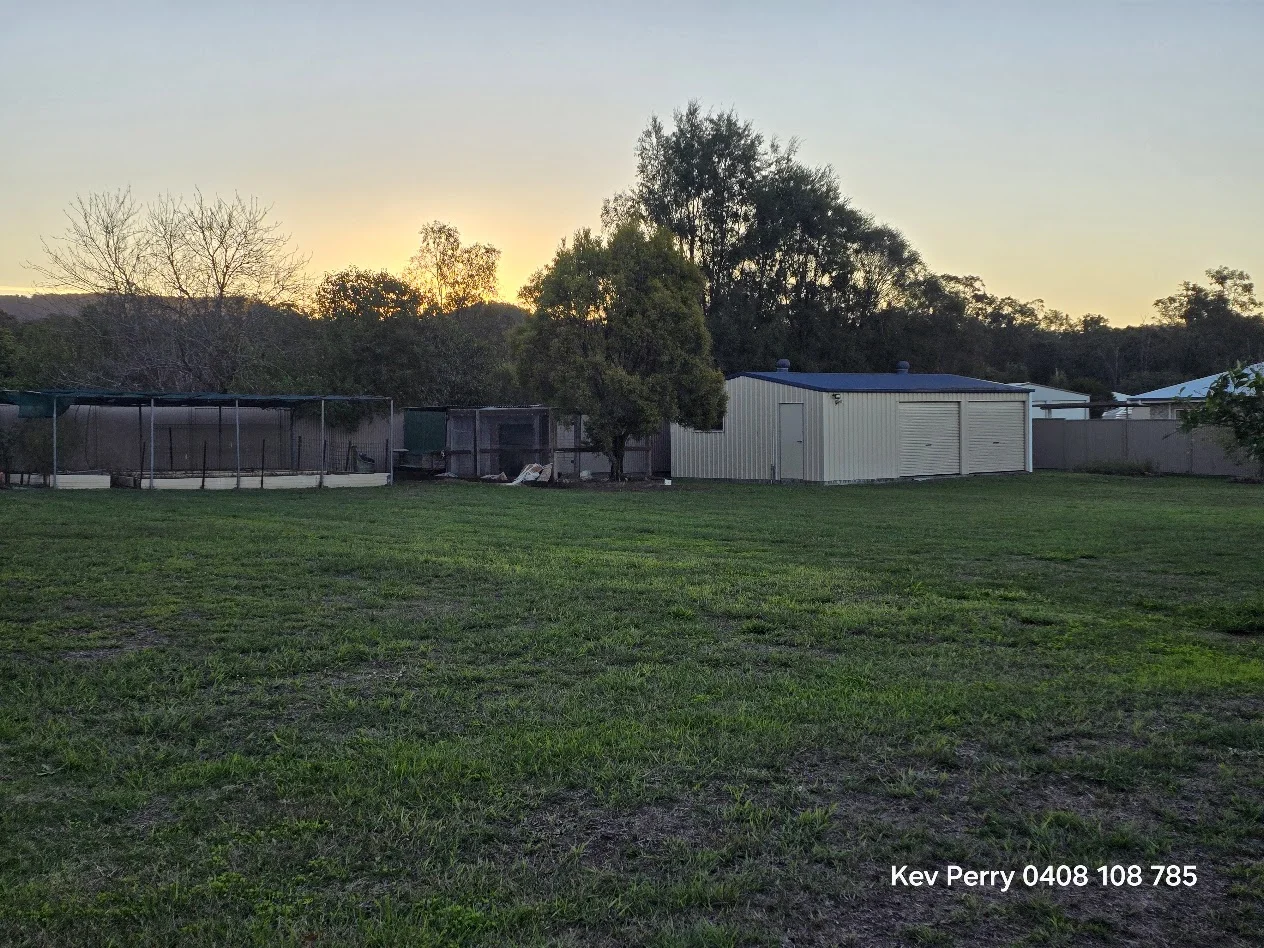 66 PARKRIDGE DRIVE, Withcott, Qld 4352
