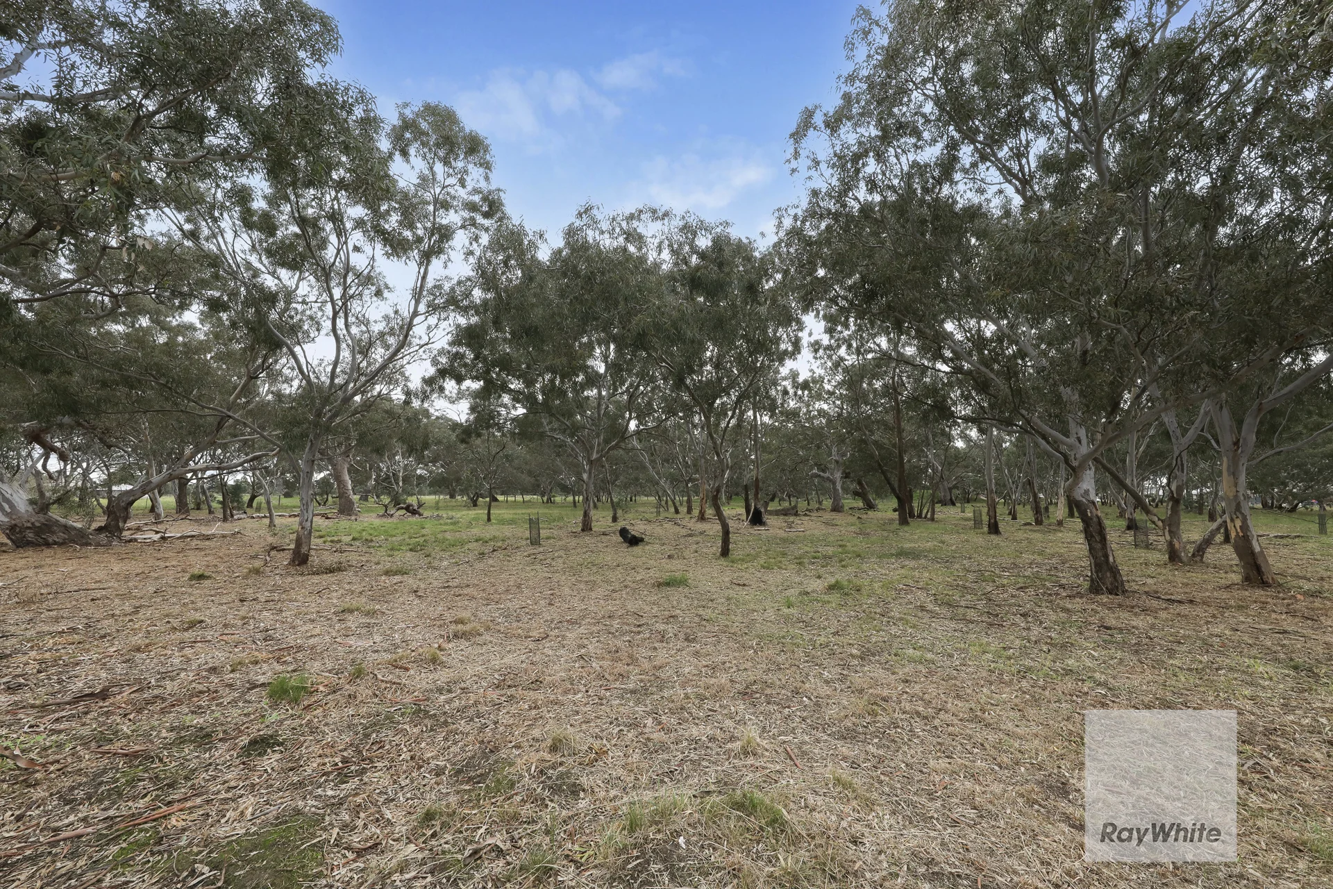 7 Henna Avenue, Greenvale, Vic 3059