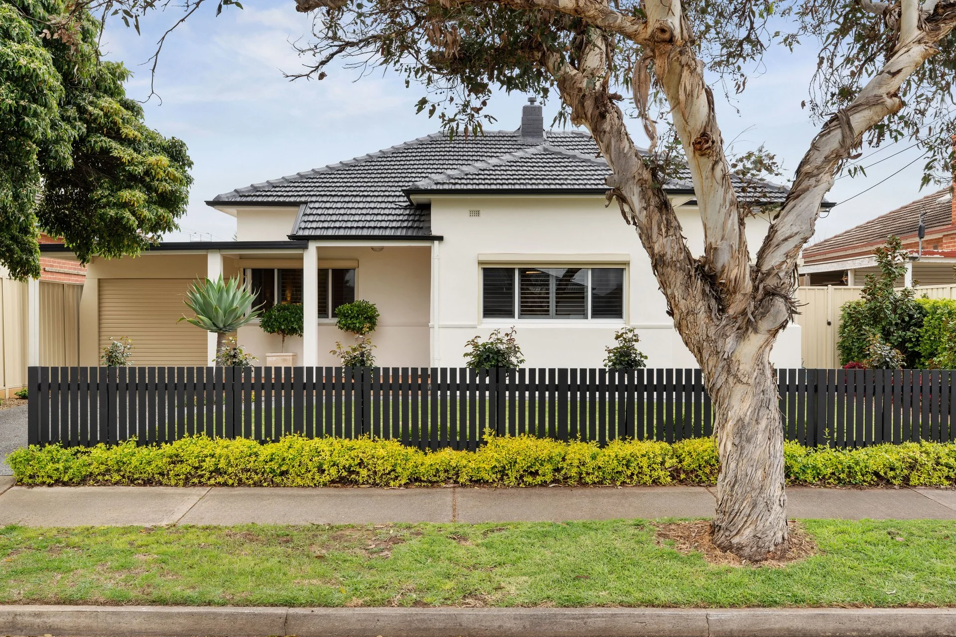 7 Wilkins Street, Glengowrie, SA 5044