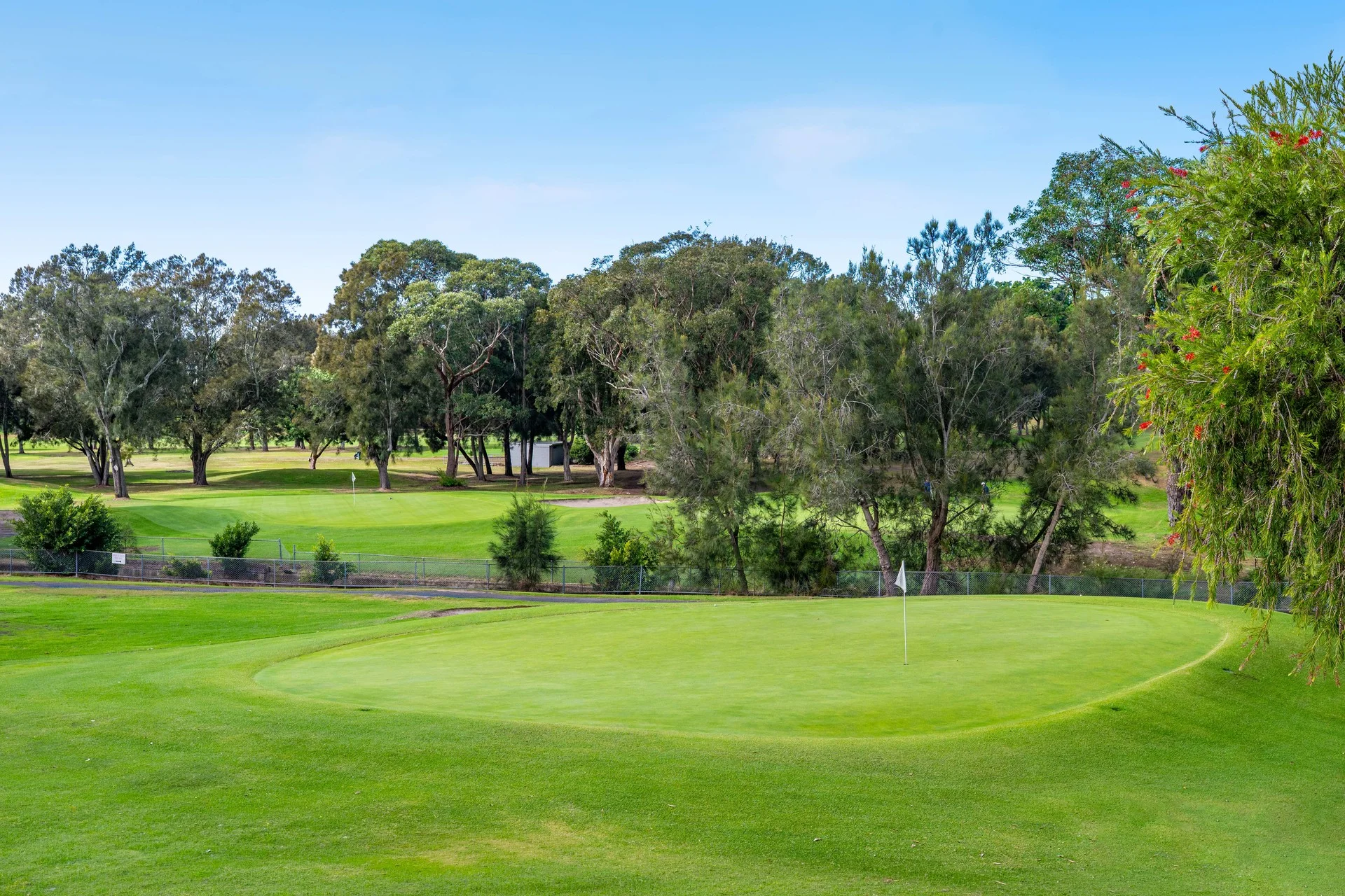 78 Harslett Crescent, Beverley Park, NSW 2217