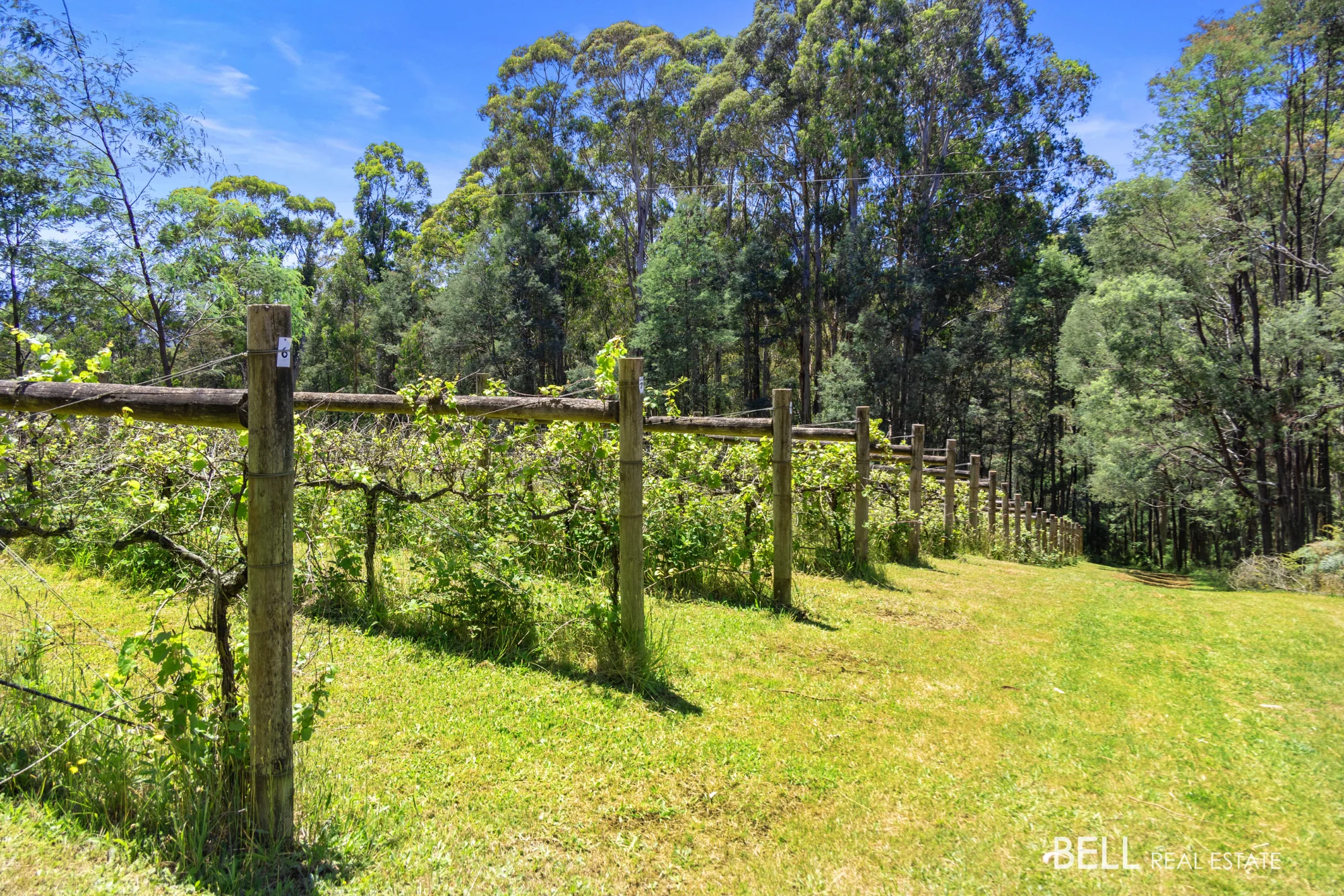 795 Gembrook-Launching Place Road, Hoddles Creek, Vic 3139