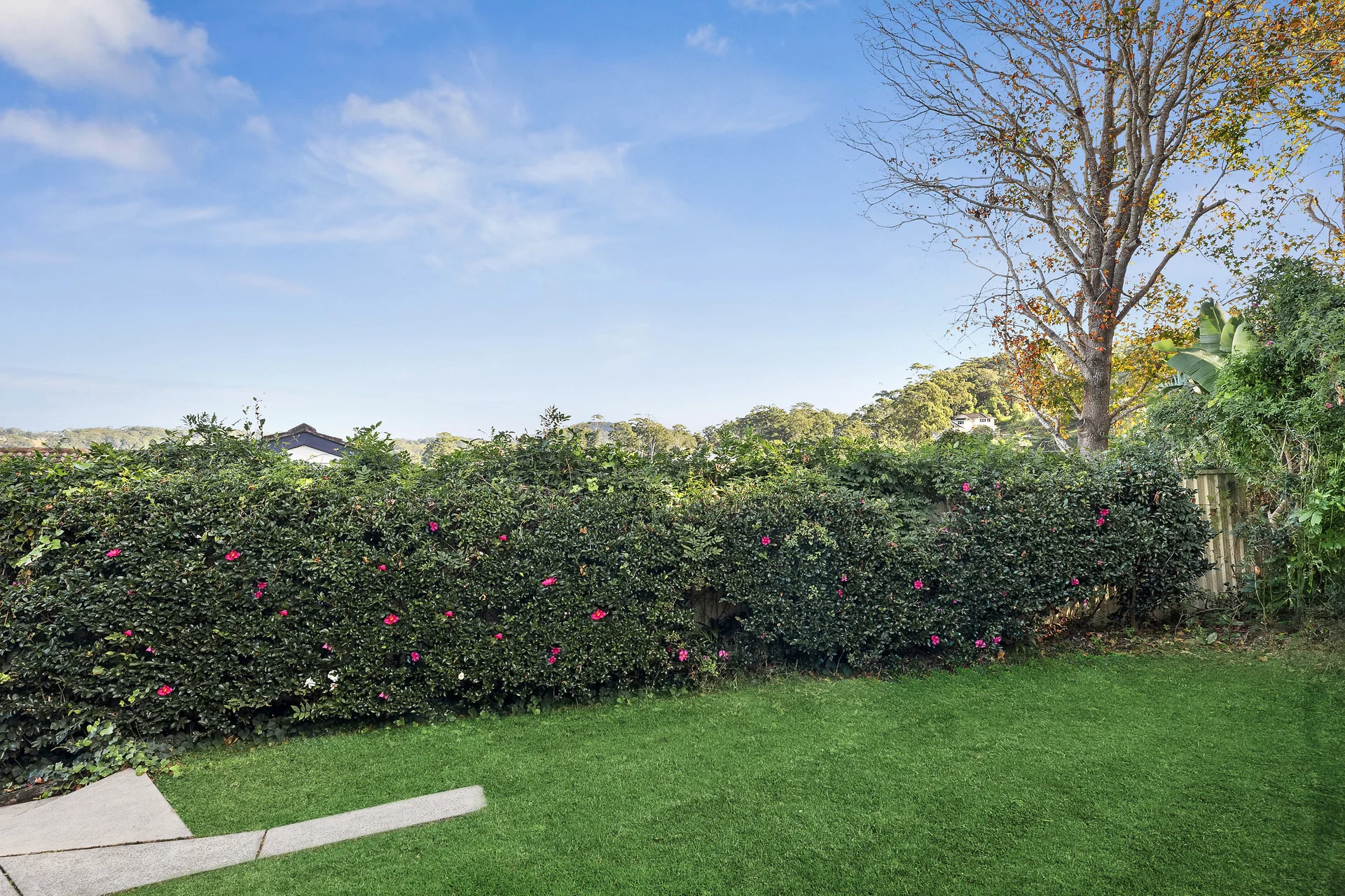 8 Elva Crescent, Terrigal, NSW 2260