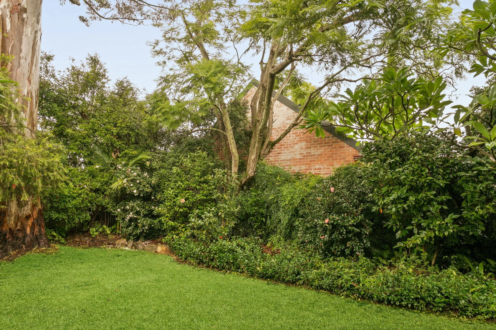 8 Hillcot Street, Hurlstone Park, NSW 2193
