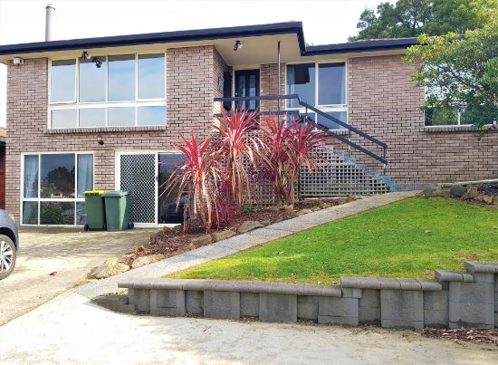 8 Mooreville Road, Park Grove, Tas 7320